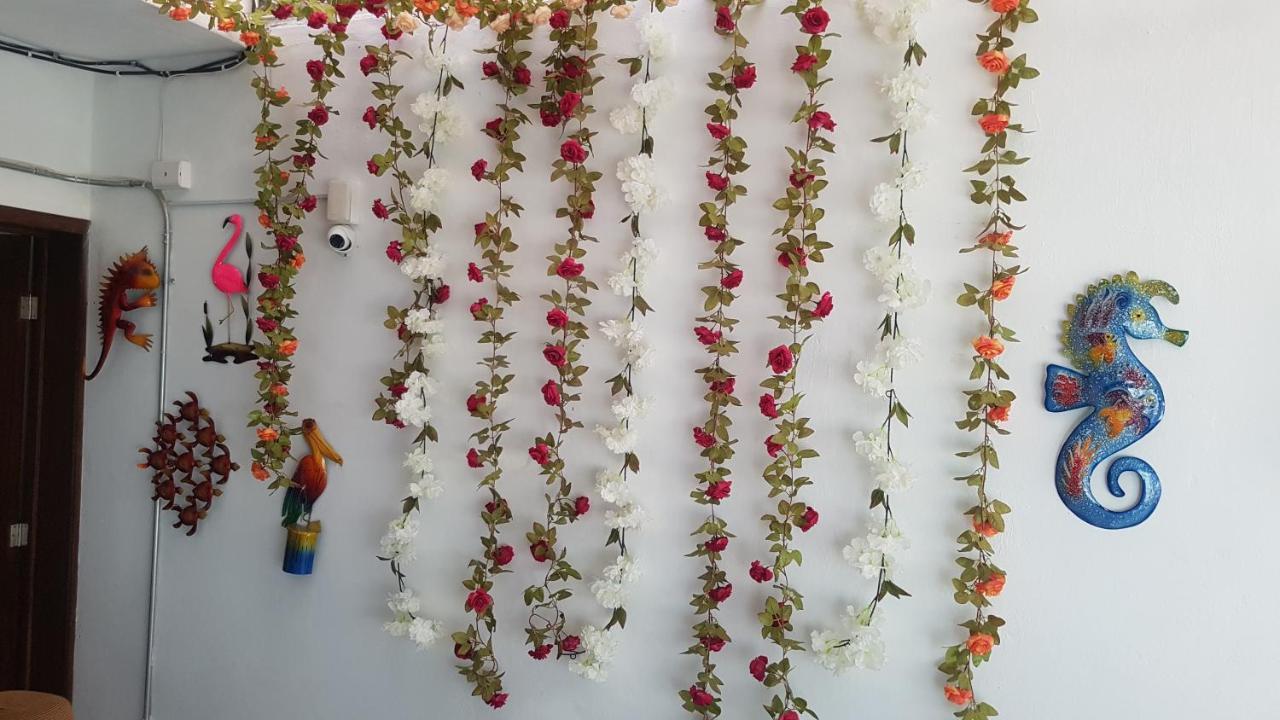 Posada Bugambilia Mazatlán Exteriör bild